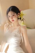 新版金银瓶 